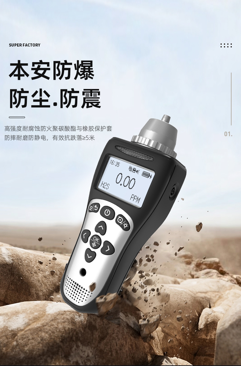 MS104K-L便携式气体检测仪