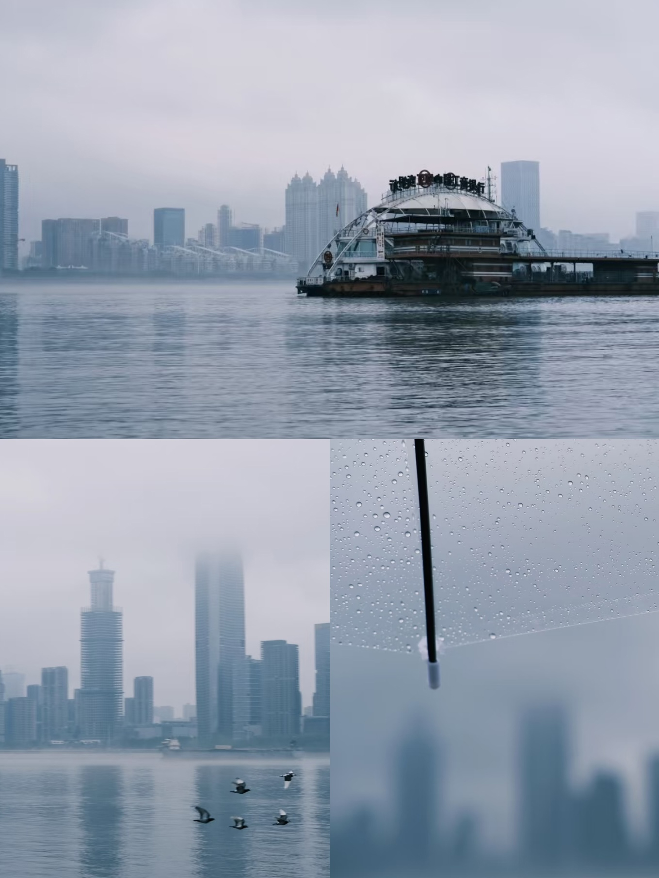 逸云天武汉办事处：江滩踏春徒步，凝聚团队力量